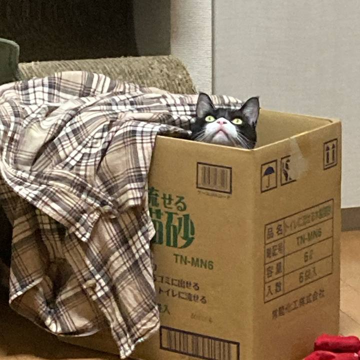 Afdbed81 78ec 4526 8842 bcf9f294d60b 1697977678549