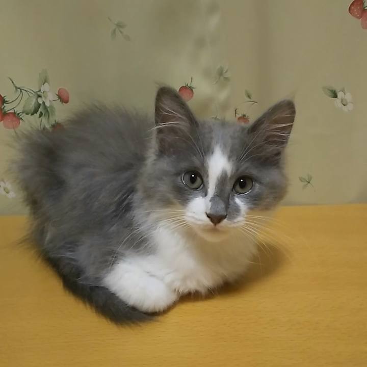 Afdc0358 50cd 4506 8631 1f6b412f576e 1563230570328