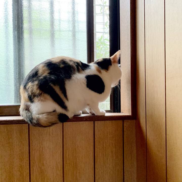 Afdc0e7e 802e 4a13 8808 7b9c4de4331a 1540175004347