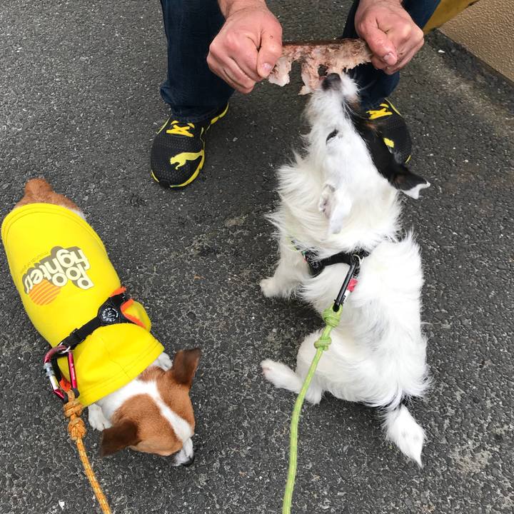 Afdc0fb7 cf1d 47a6 9748 6c408da43594 1523102577553