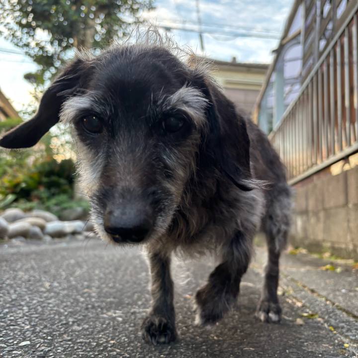 Afdc4cf7 065b 4111 a07d 220a2658712f 1763421356357