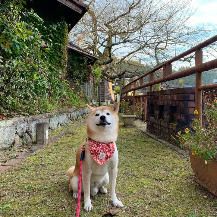 Afdc6e04 c33a 4d18 bb6a 5c1130df950f 1666693163680