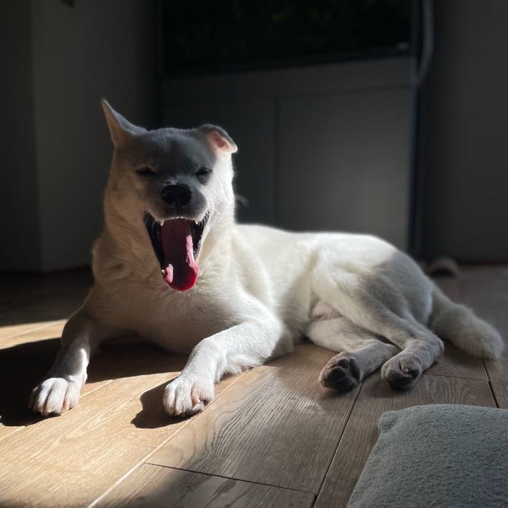 Afdc9011 504f 4f27 bc30 2b44ea91a823 1736230526368