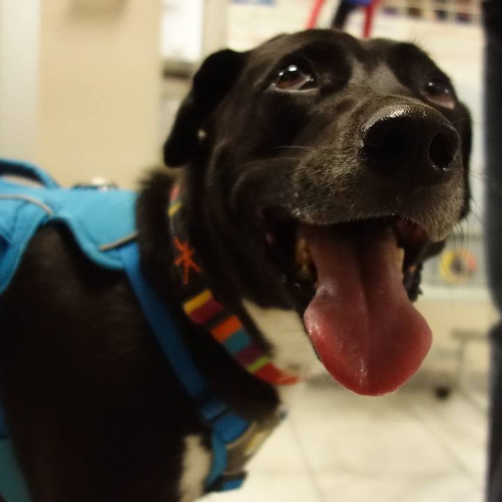 Afdc9c30 4d51 4432 ae6c 44d0caa4291b 1605955548536