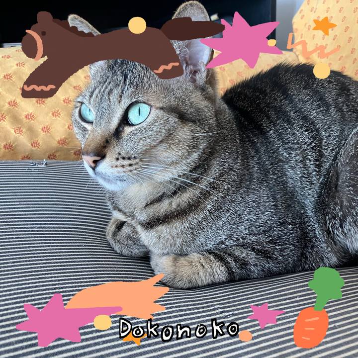 Afdcb3e8 7e9a 4374 8608 b108fb232a03 1771974153481