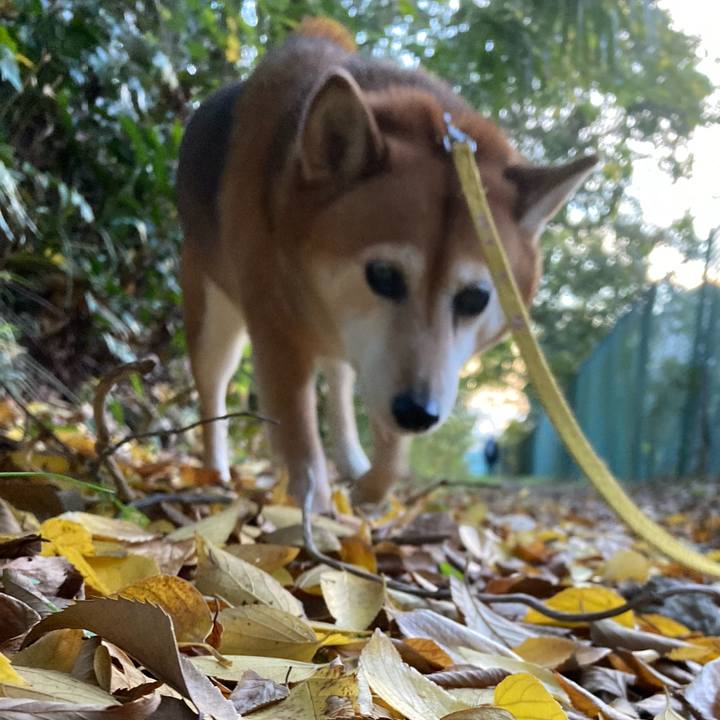 Afdcf8f4 03d9 4d06 b816 a14681249d23 1636358315167