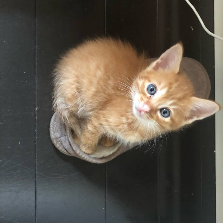 Afdd1f49 e7ab 4bba b249 e3c4f924366f 1639224442003