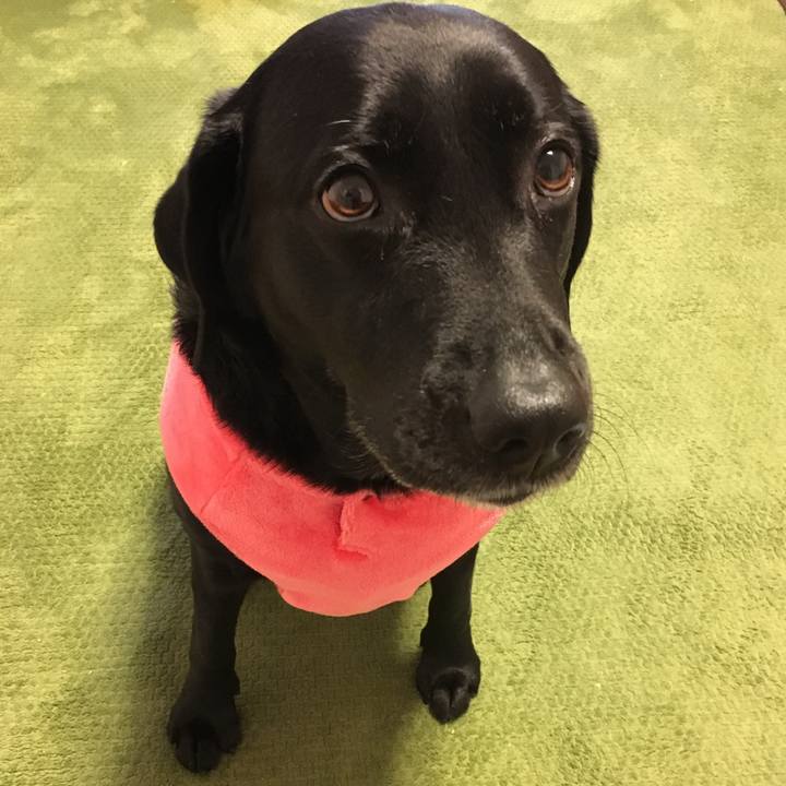 Afdd2165 350b 4812 ad48 0fe165772a10 1758984206479