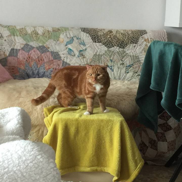 Afdd21fe b9ff 4221 a933 e35fb094a3c1 1527391323831