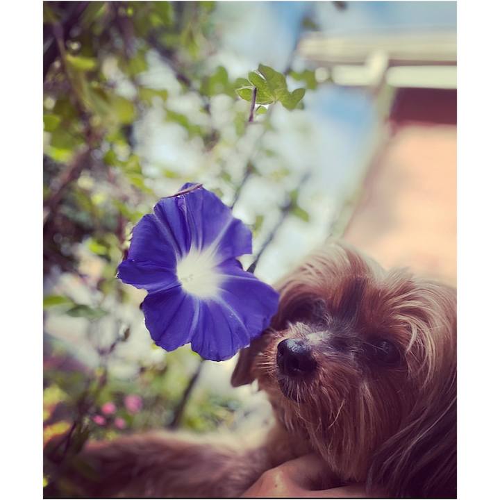 Afdd2aa0 e639 41dd 8e5e d6168ab0fced 1662501448934