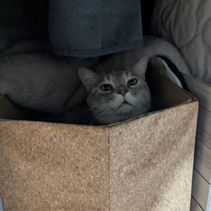 Afdd3525 87d1 4b49 b382 5a0d5f82e36e 1732433492533