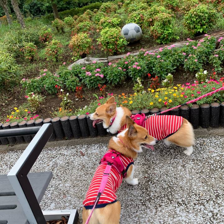 Afde0c71 002a 4768 87e8 feff2b31c5c1 1600661887515