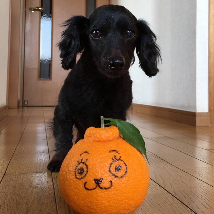 Afde3e44 79e3 43e8 881e 4b2203a5f229 1612129471271