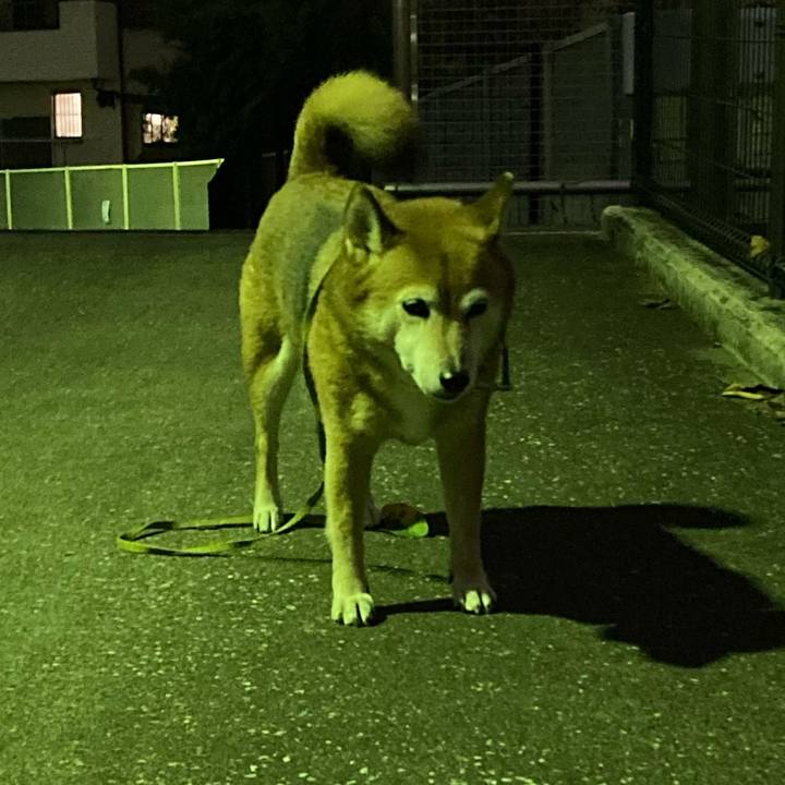 Afde97df 024f 4661 b609 4ad40bed884b 1633514604750