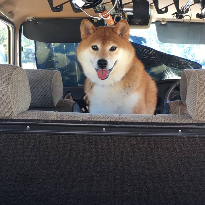 Afded34f e302 4ba3 ba2e c7ebfc094d00 1632071918668