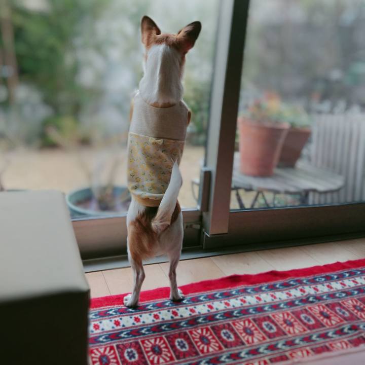 Afdf0dac 26bd 42e6 bd85 0bd26fc43fa2 1583049171973