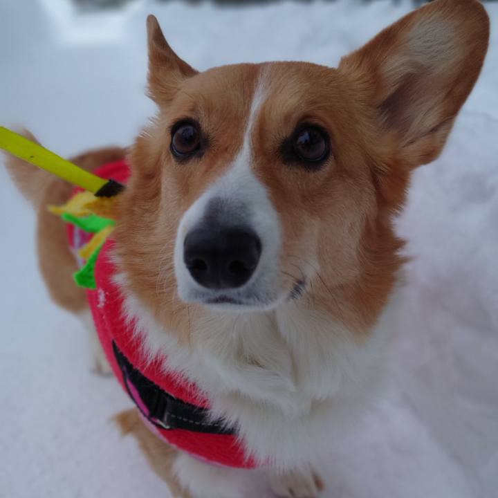 Afdf63aa c349 4096 957d ab45849b478a 1769644025061