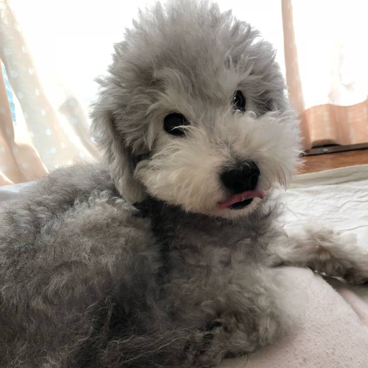 Afdf6c7f 5176 4bdd a4f4 1d16bc076c2e 1539126867953