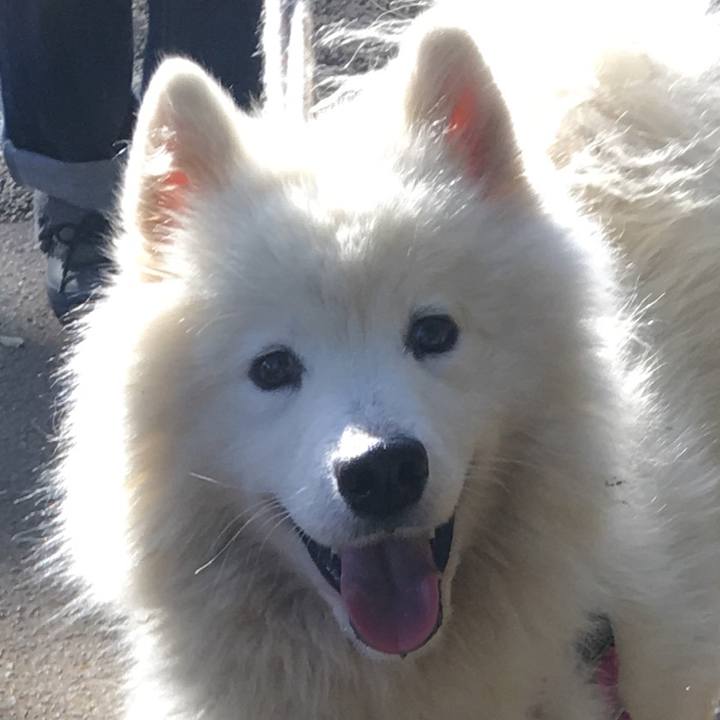 Afdf936d ef77 4905 a401 a74e7570f0a0 1540560252448