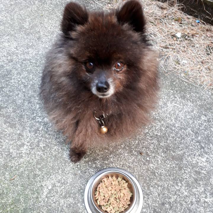 Afdff967 294c 46d7 a824 2defe4672ac1 1522617429201