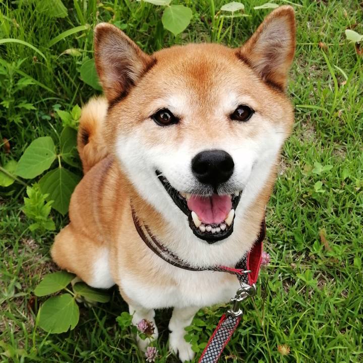 Afe0054a a1d1 4a06 bb8c 8142d4600c44 1660306593898