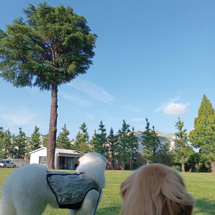 Afe05e69 249e 4293 af93 f1be452ec669 1718913890334