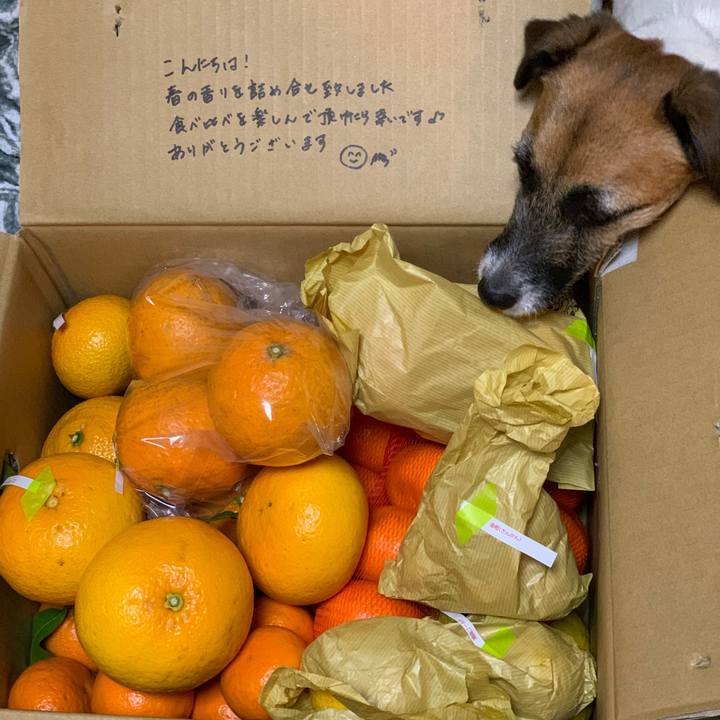 Afe065e6 b9af 48b2 96ad 605afa1e5486 1582009552108