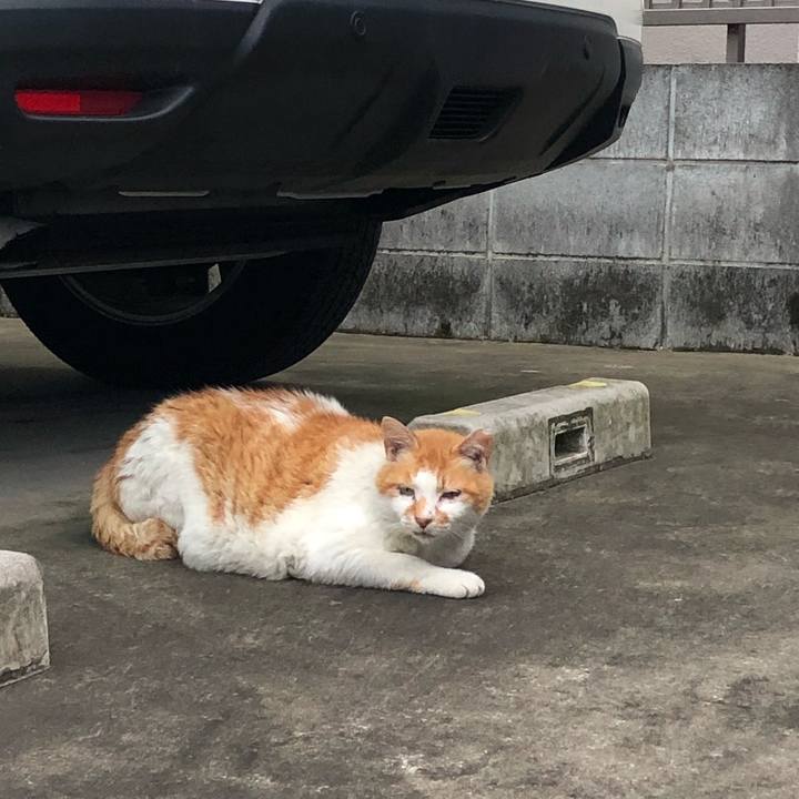 Afe076df d4c9 420a a86c 2f2c41c205fb 1563106076901