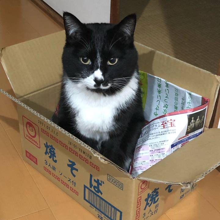 Afe08eb7 f6ce 4dfb ad59 1f2361a82adb 1620791178159