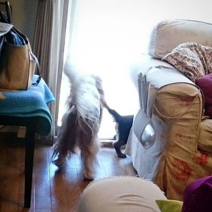 Afe08fc3 d4cc 4694 ad87 d2aa402e5143 1521969249244