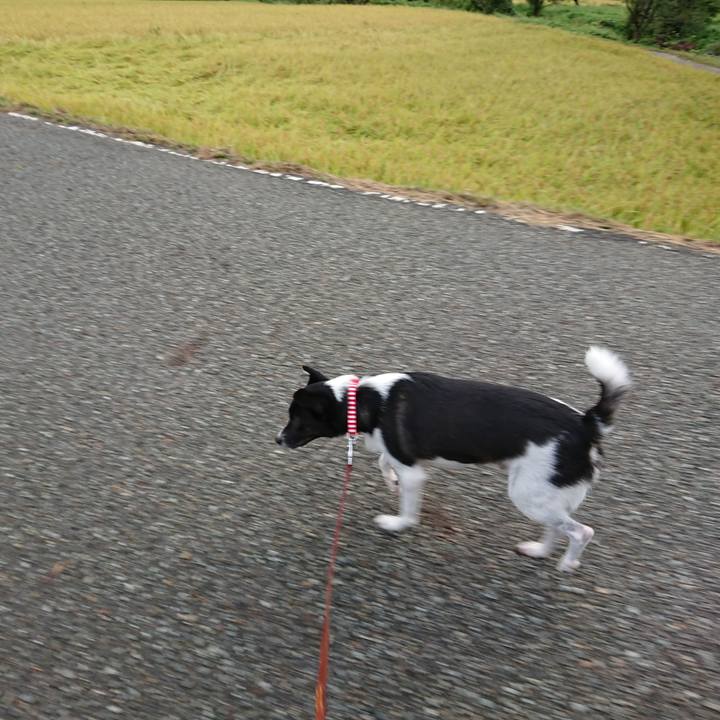 Afe08fce 1fea 4981 9aca 0800ca4634bf 1536570952204