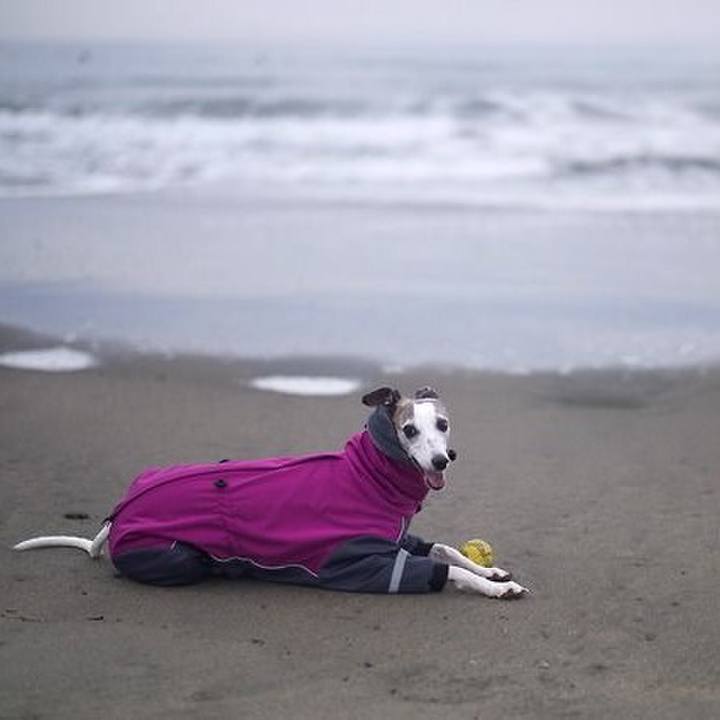 Afe095d3 34d7 4f08 99ba 5ef4b3ee7bb4 1517489283735