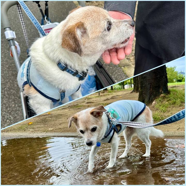 Afe107bf d4cd 4239 8741 e66bca67a32d 1758237022390