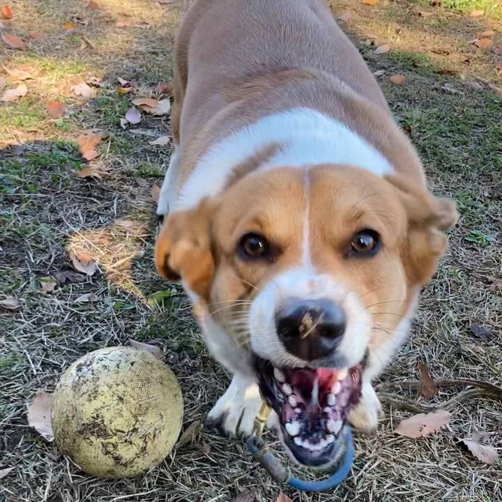 Afe1092e c962 4580 9f4a 524348754ef7 1637799348315