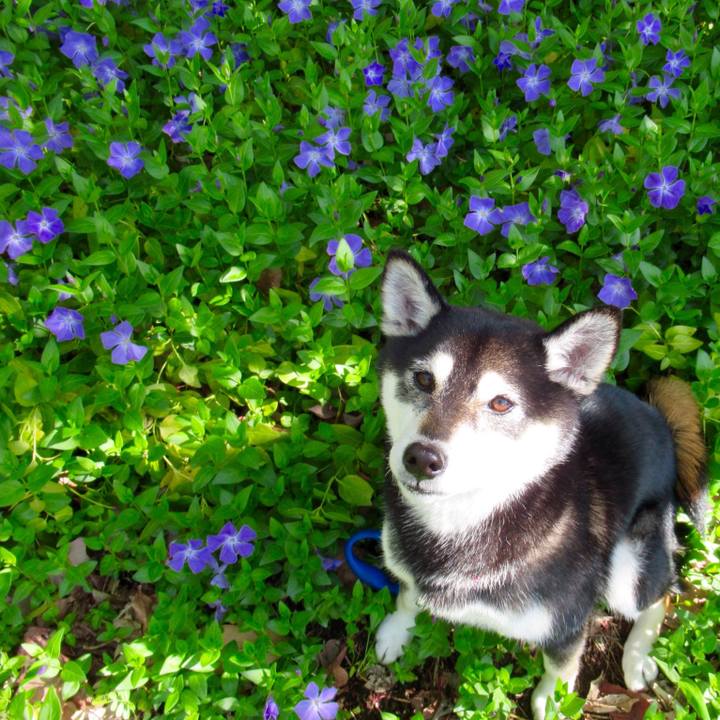 Afe13812 0715 468b acd0 8a9719ed0f44 1557804329470