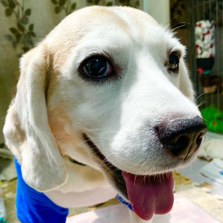 Afe151d8 1e42 4b7d 95de d7adf7b0e2f8 1659070741837