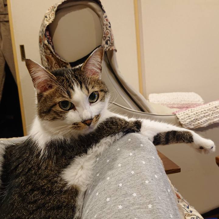 Afe16baf c7ab 4e9f b3be b05b3ec17aec 1714439557522