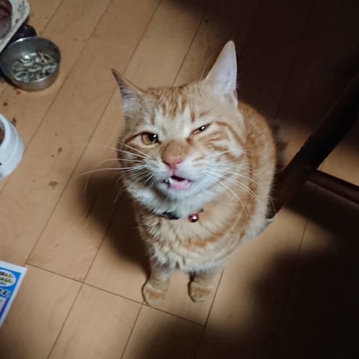 Afe17632 0181 4bd3 80d6 015385eef9e3 1646562110978