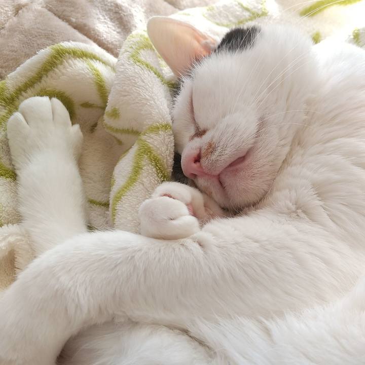 Afe17b29 2714 4ef1 b283 cd8e5aabd376 1641360579536