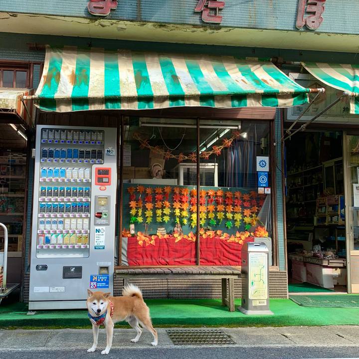 Afe1afee d79b 4c46 ad03 2c4ce2860980 1632564138458