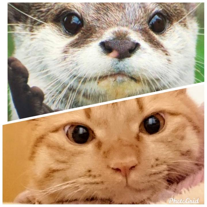 Afe1c9f3 e639 4d2c b608 df107eba872f 1581142535846