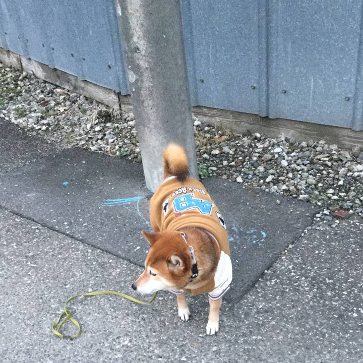 Afe1e670 2352 4c4a 8671 93af3732fa27 1577348555071