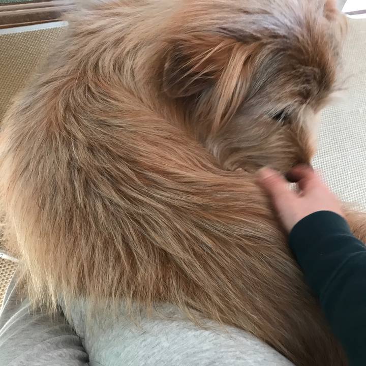 Afe2391b 282a 4dd4 9772 e63e234b015c 1554760981759