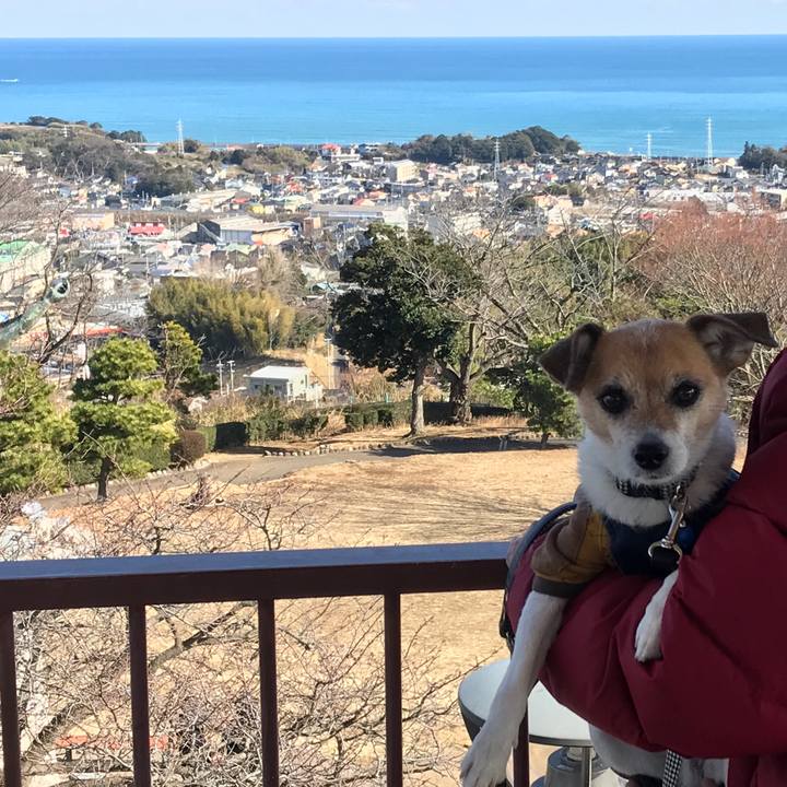 Afe26799 849d 4cde a9cc 2e5ddcdabdcf 1581156488455