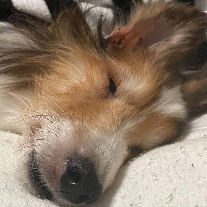 Afe276c2 9dc4 4259 afde db8410137475 1667638855970