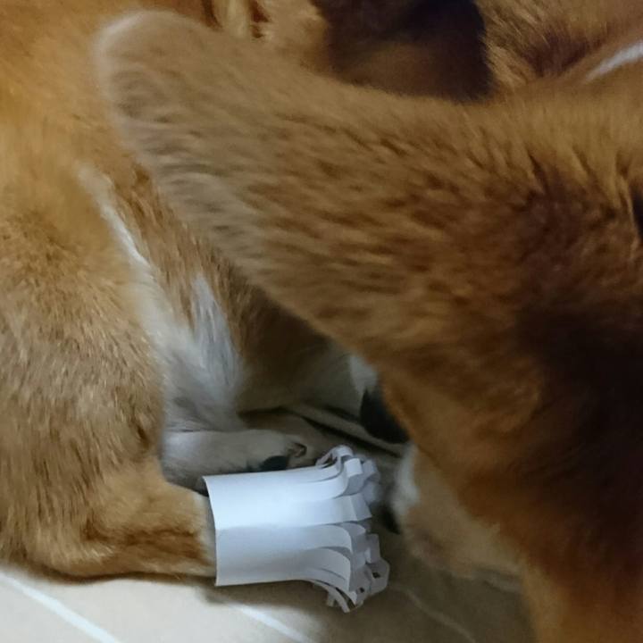 Afe282f0 37ef 4168 aa52 3d9389d73891 1545561835191