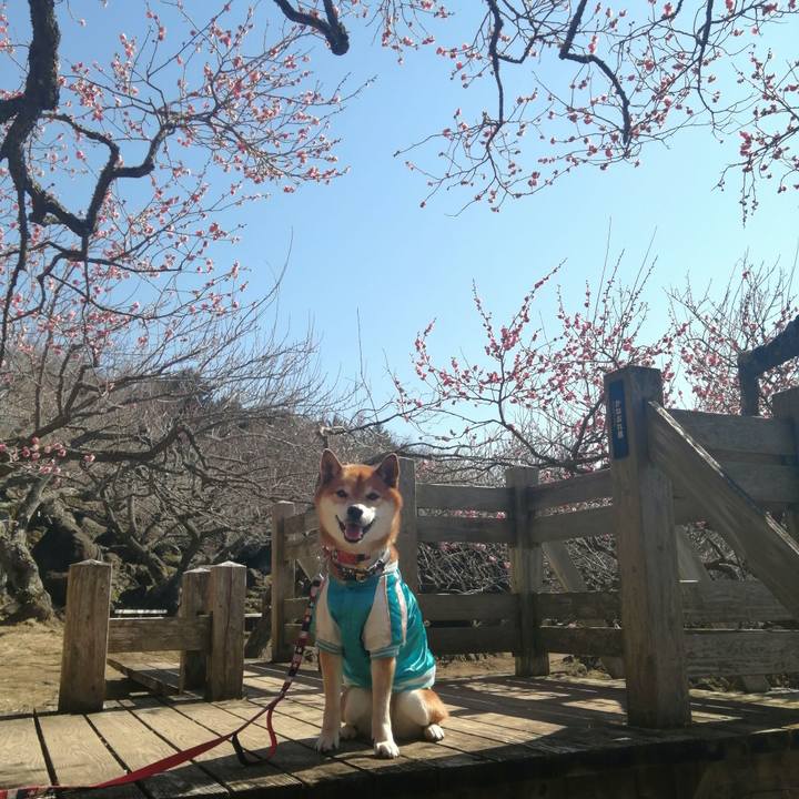 Afe2e63d f7b5 4ef8 8cb6 688c83a55051 1645542827086