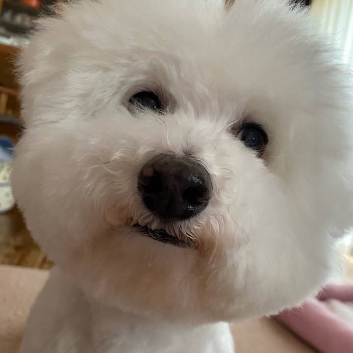 Afe2e72d 3e6a 4b70 8e0d a6f5d4639acb 1655183534917