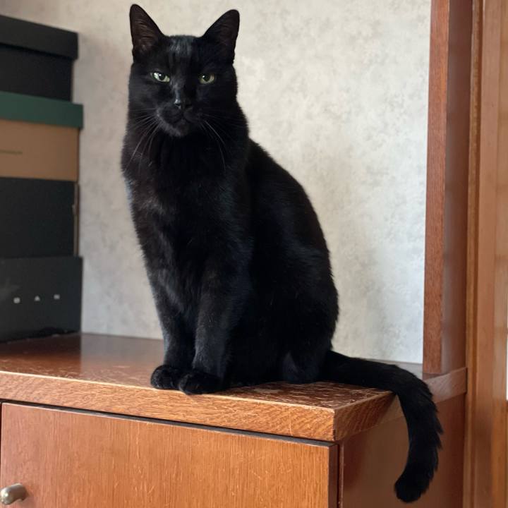 Afe2f98a 9e51 4fe1 ae3b 27f7664328cf 1639099489228