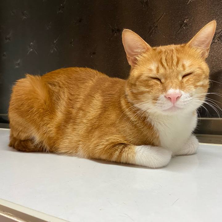 Afe37eeb 2344 478e 8ad8 176275e6583a 1659702951797